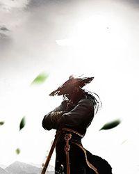 重生：冷面军长的霸气娇妻